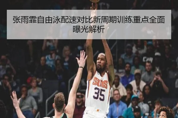 张雨霏自由泳配速对比新周期训练重点全面曝光解析