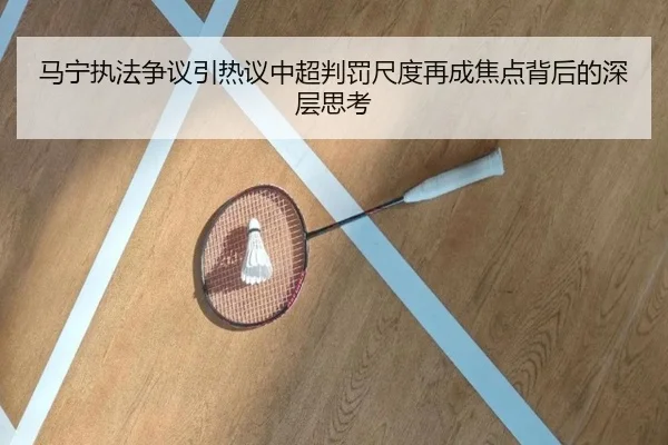 马宁执法争议引热议中超判罚尺度再成焦点背后的深层思考